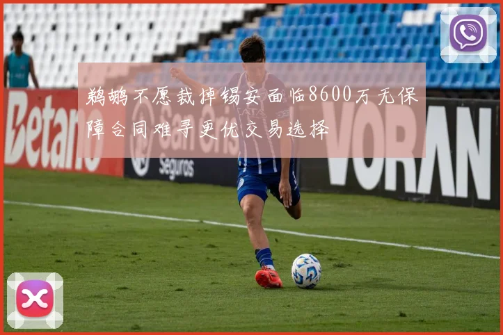 鹈鹕不愿裁掉锡安面临8600万无保障合同难寻更优交易选择
