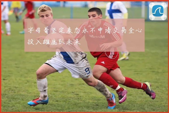 字母哥坚定表态永不申请交易全心投入雄鹿队未来